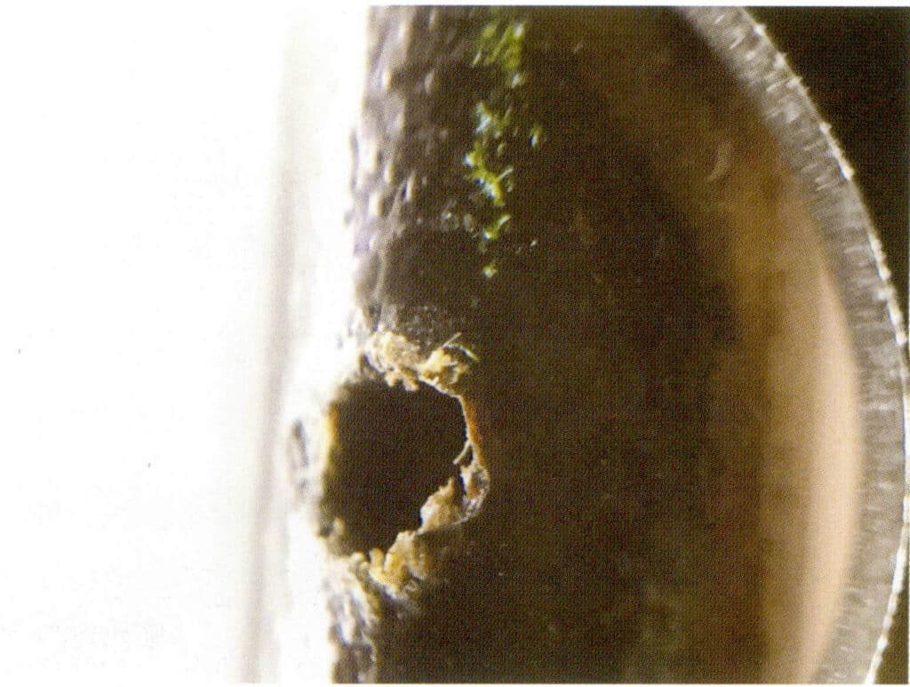 Рисунок 3-4-42 Область вокруг отверстия может выглядеть коричневой и иметь структуры, похожие на деревья