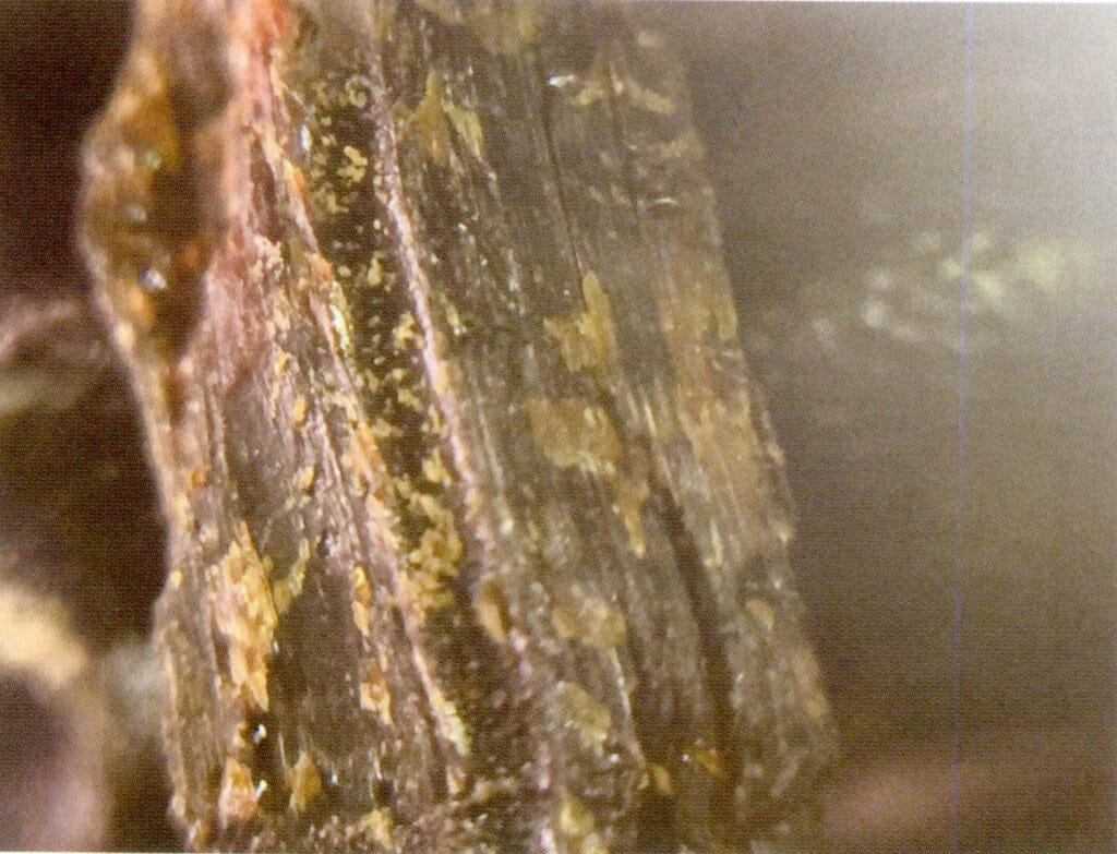 Рисунок 3-4-45 На поверхности излома черного коралла видны продольные полосы и пятна коричневого цвета (2)