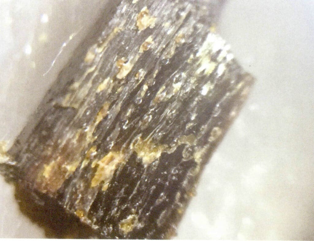 Рисунок 3-4-46 На поверхности излома черного коралла видны продольные полосы и пятна коричневого цвета (три)