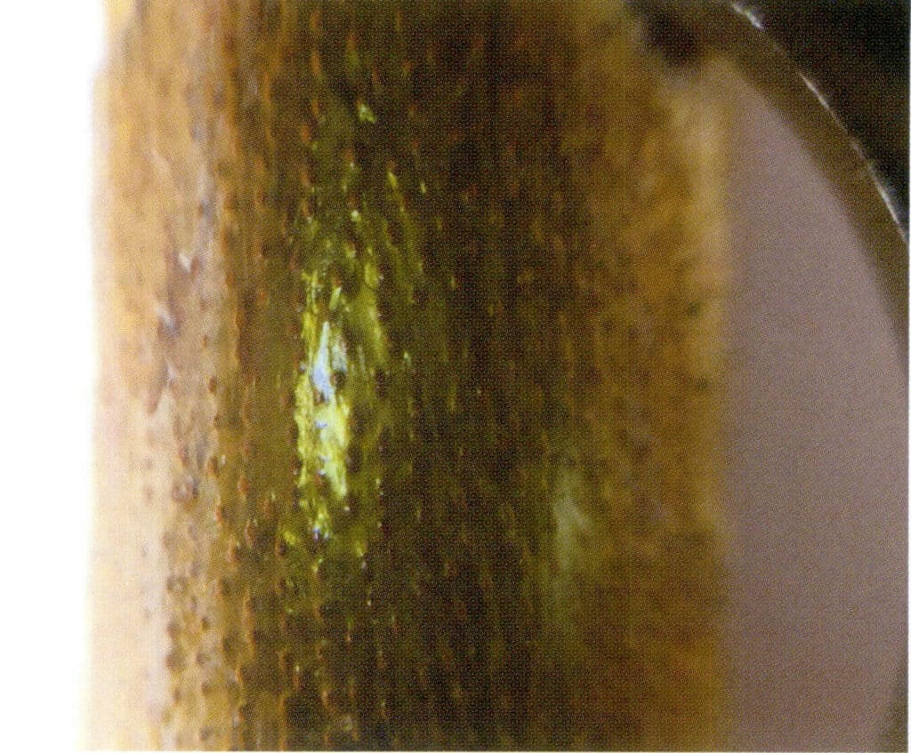 Рисунок 3-4-49 Выступы на поверхности золотого коралла (2)