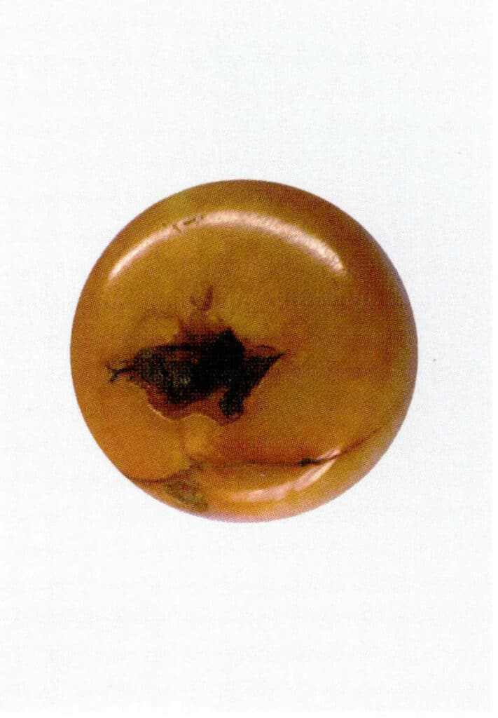 Рисунок 3-5-13 Цвет окрашенного морского бамбука сосредоточен в трещинах и отверстиях для сверления