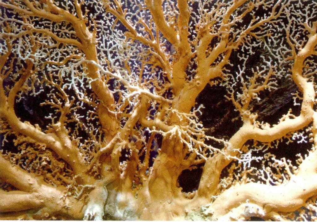 Рисунок 3-6-6 Сырье для рыболовства (1)