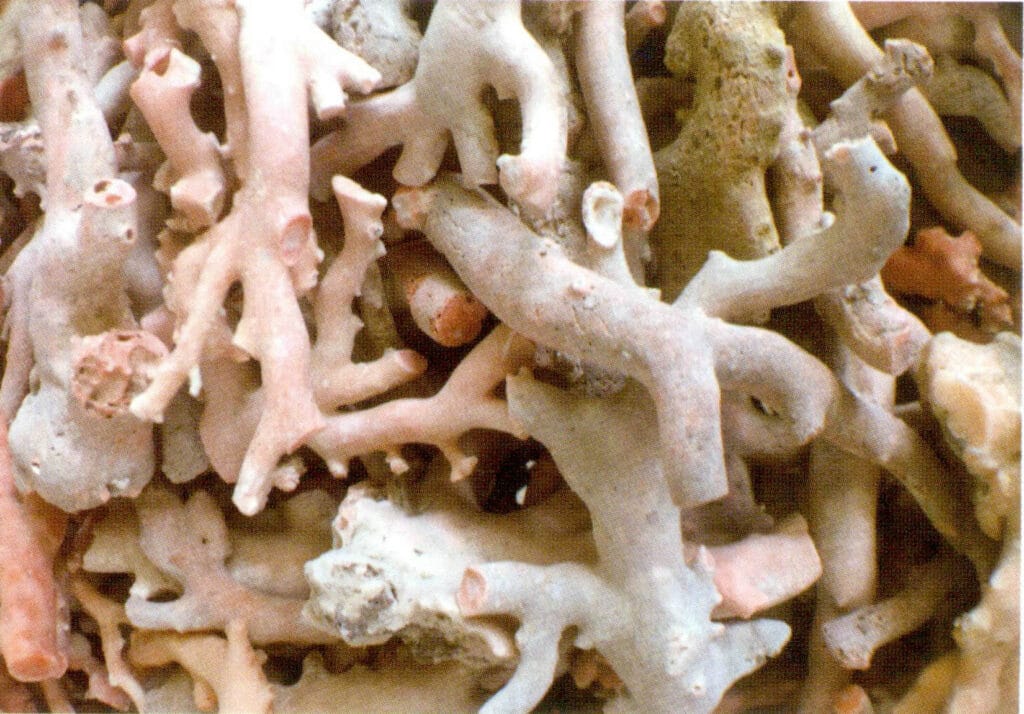 Рисунок 3-6-7 Сырье для рыболовства (2)