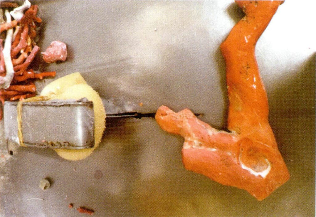 Рисунок 3-6-9 Коралловое сырье в ожидании резки (2)