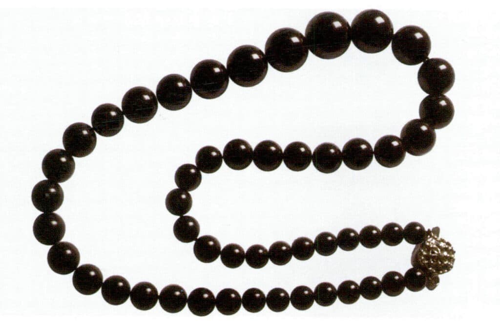 Рисунок 3-7-2 Черный коралл