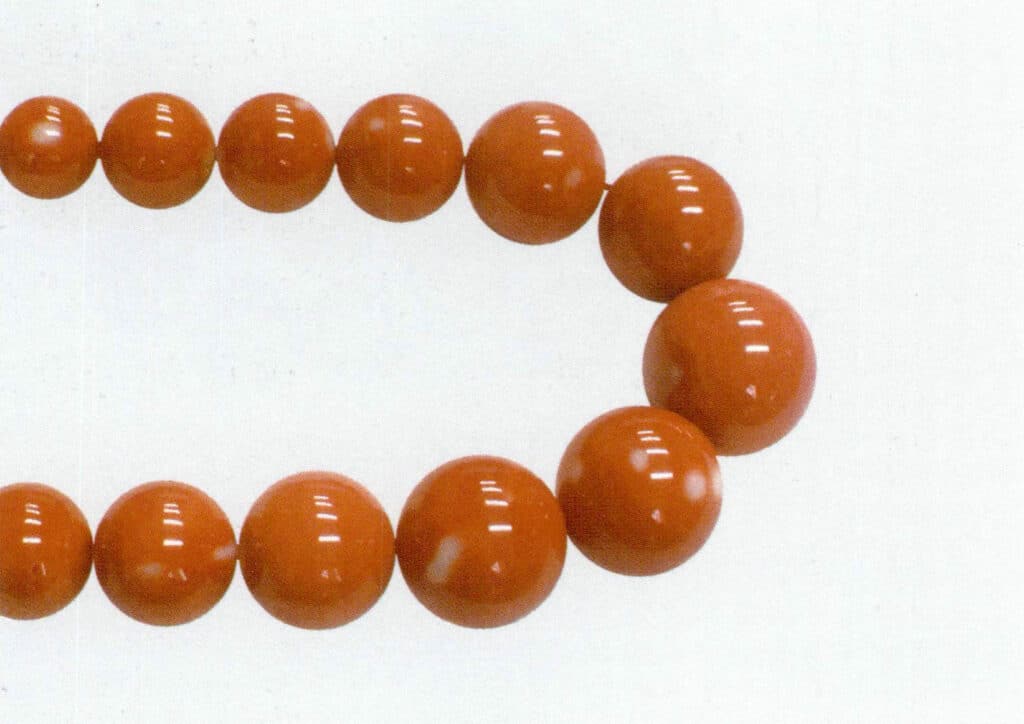 На рисунке 3-7-6 показан коралл MOMO.