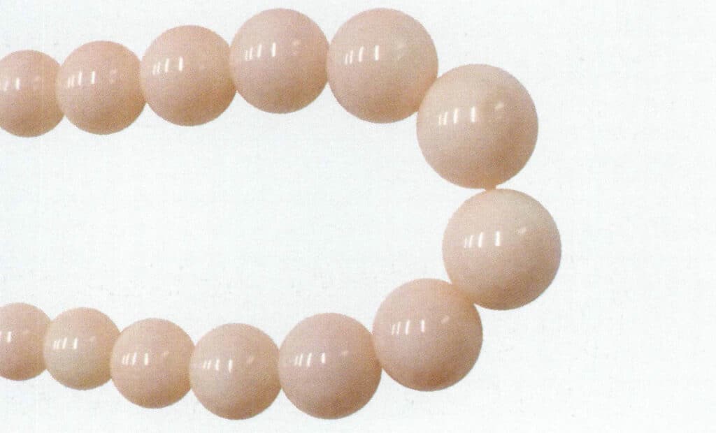 Рисунок 3-7-8 Коралл MOMO "Ангельская кожа" (1)