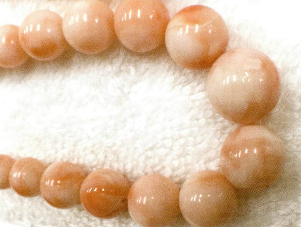 Рисунок 3-7-11 Глубоководный коралл