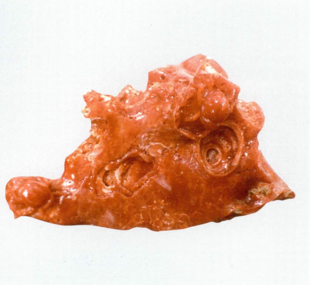 Рисунок 3-7-22 Резьба по красному кораллу Акойя (2)
