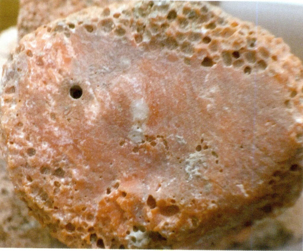 Рисунок 3-7-33 Вислая ветвь (1)