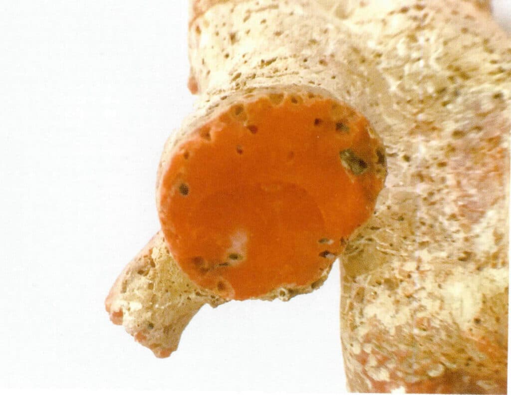 Рисунок 3-7-35 Вислая ветвь (3)