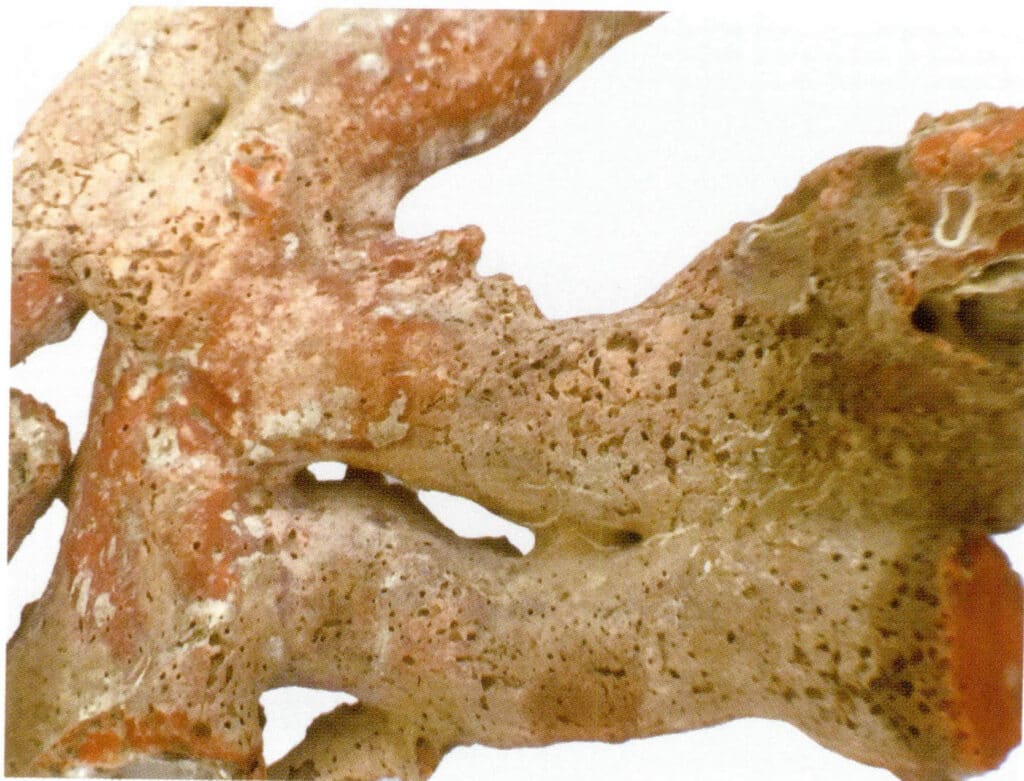 Рисунок 3-7-36 Падающая ветка (4)