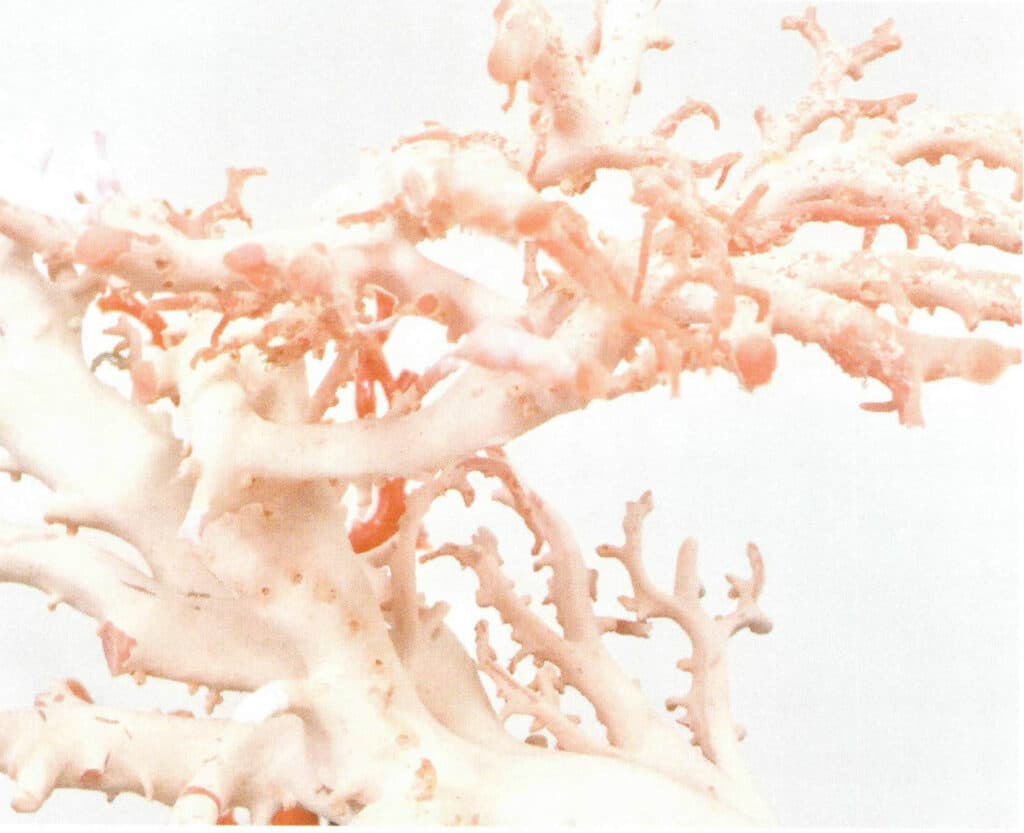 Рисунок 3-7-39 Живая ветвь (3)