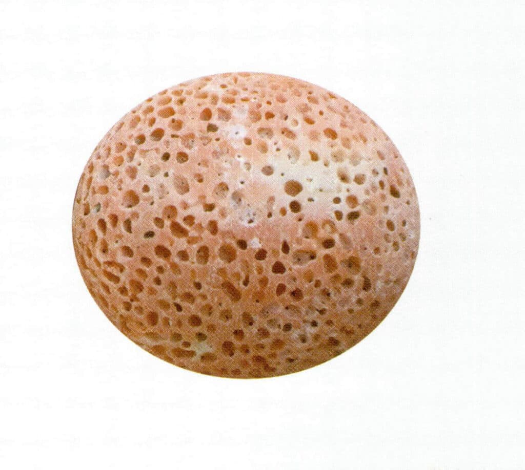 Рисунок 3-7-41 Полированная мертвая ветвь