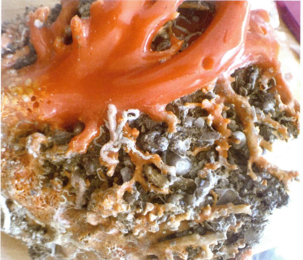 Рисунок 3-7-42 Отделение третьего поколения