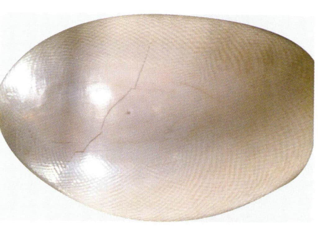 Figure 4-3-1 Structure of Ivory (1)