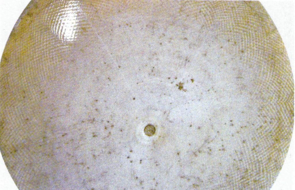 Figure 4-3-2 Structure of Ivory (2)