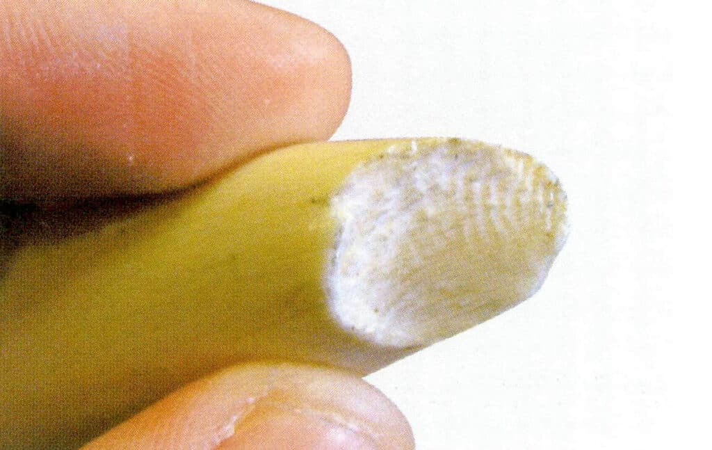 Figure 4-3-4 Structure of Ivory (4)
