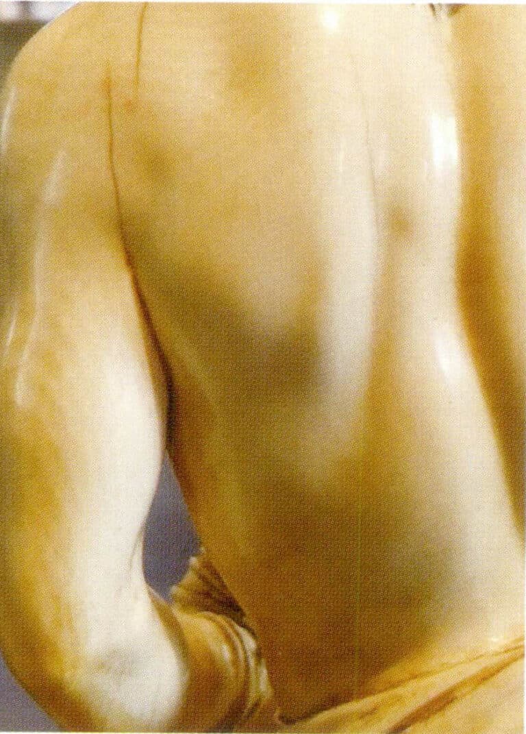 Figure 4-3-12 Rotary engine grain and corrugated parallelism of ivory (4)