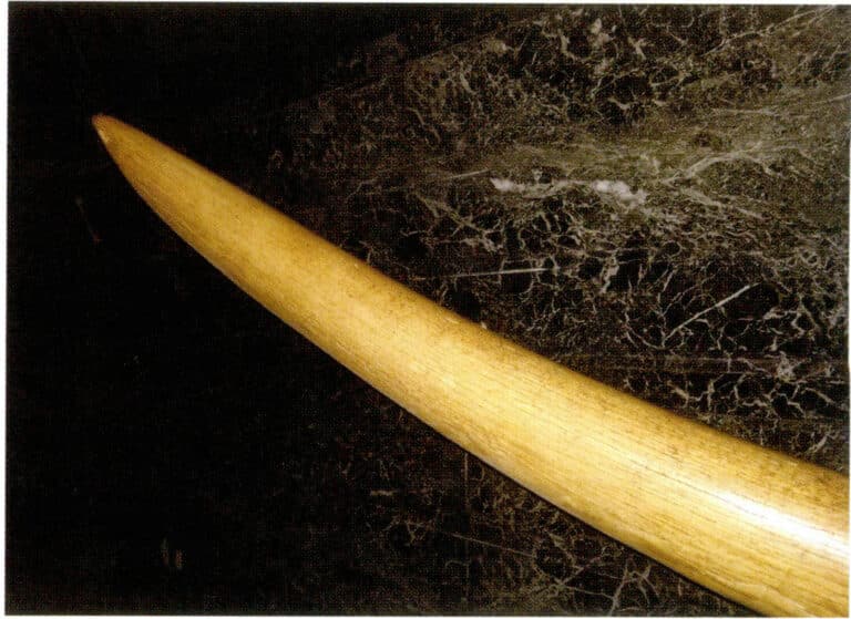 Figure 4-4-4 Ivory (4)