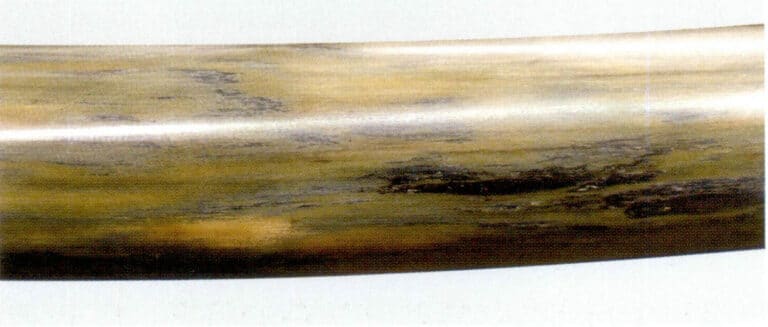 Figure 4-4-7 Mammoth Ivory