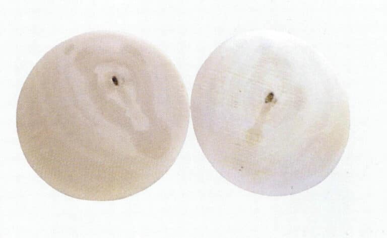 Figure 4-4-10 Concentric ring structure of mammoth ivory cross-section ( 2I)