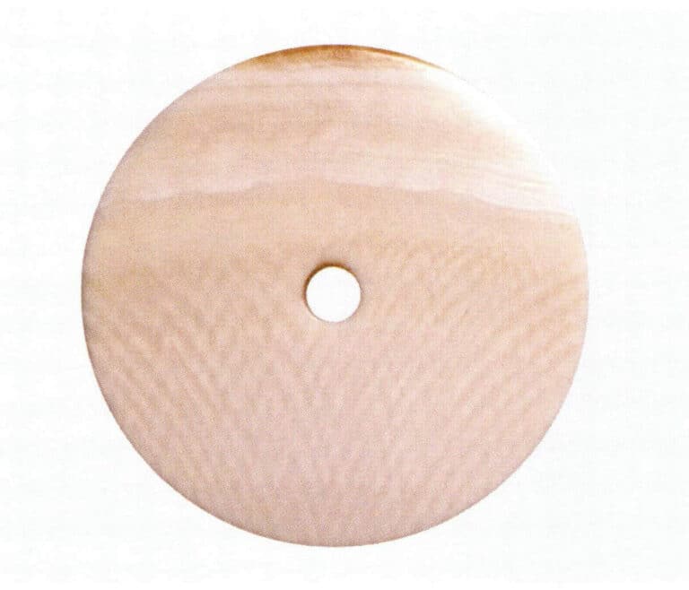 Figure 4-4-11 Concentric growth layers and coarse, fine reticulate layers of mammoth tusk ( One )
