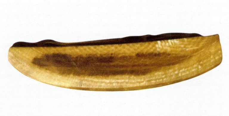 Figure 4-4-13 Concentric growth layers and reticulate layers of mammoth tusk