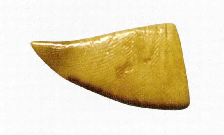 Figure 4-5-7 Walrus Tusk