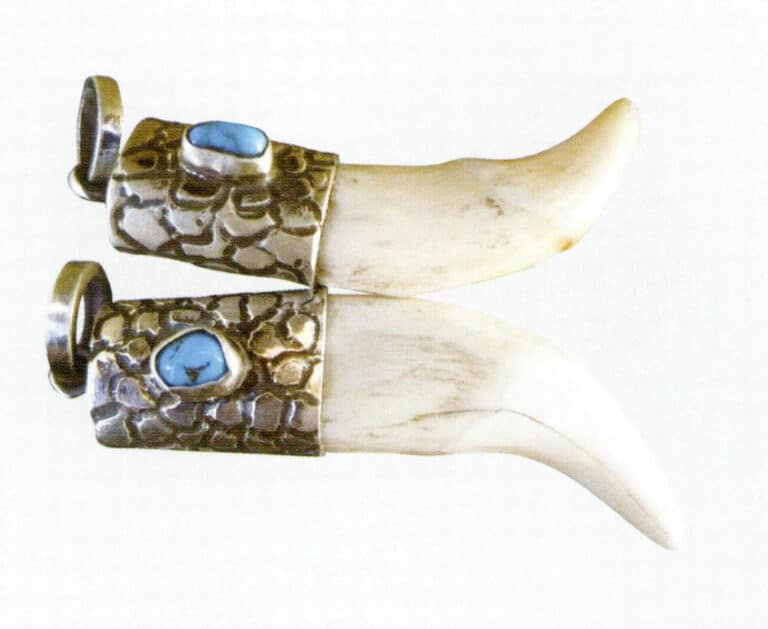 Figura 4-5-17 Dente di lupo