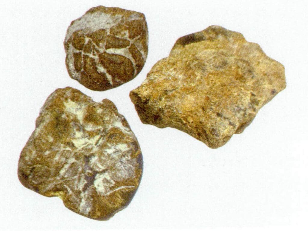 Figure 5-3-1 Raw Amber (I)