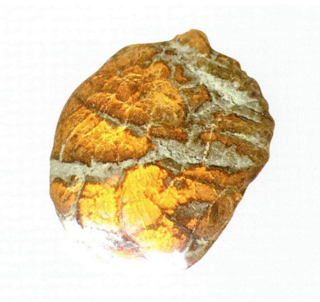 Figure 5-3-5 Raw Amber (v)