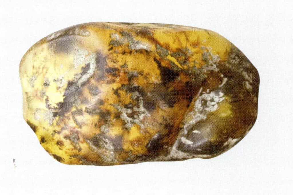 Figure 5-3-17 Plant Debris(II)