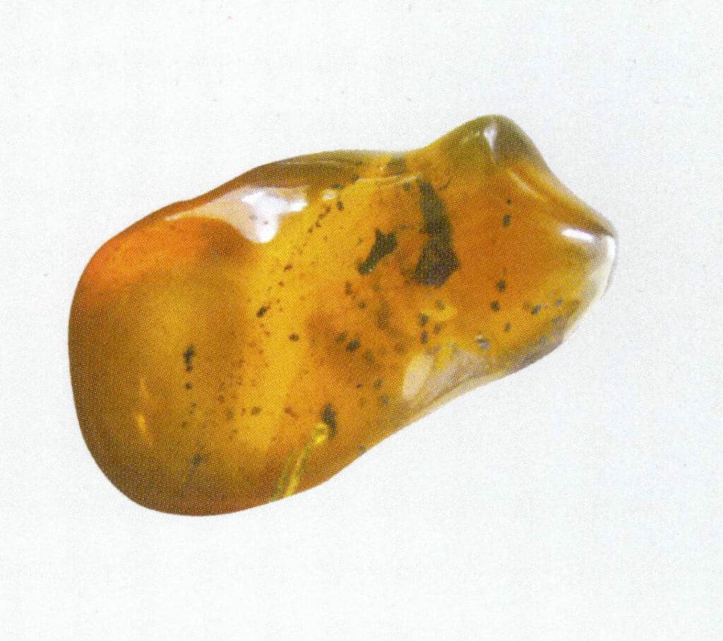 Figure 5-3-18 Plant Debris (III)