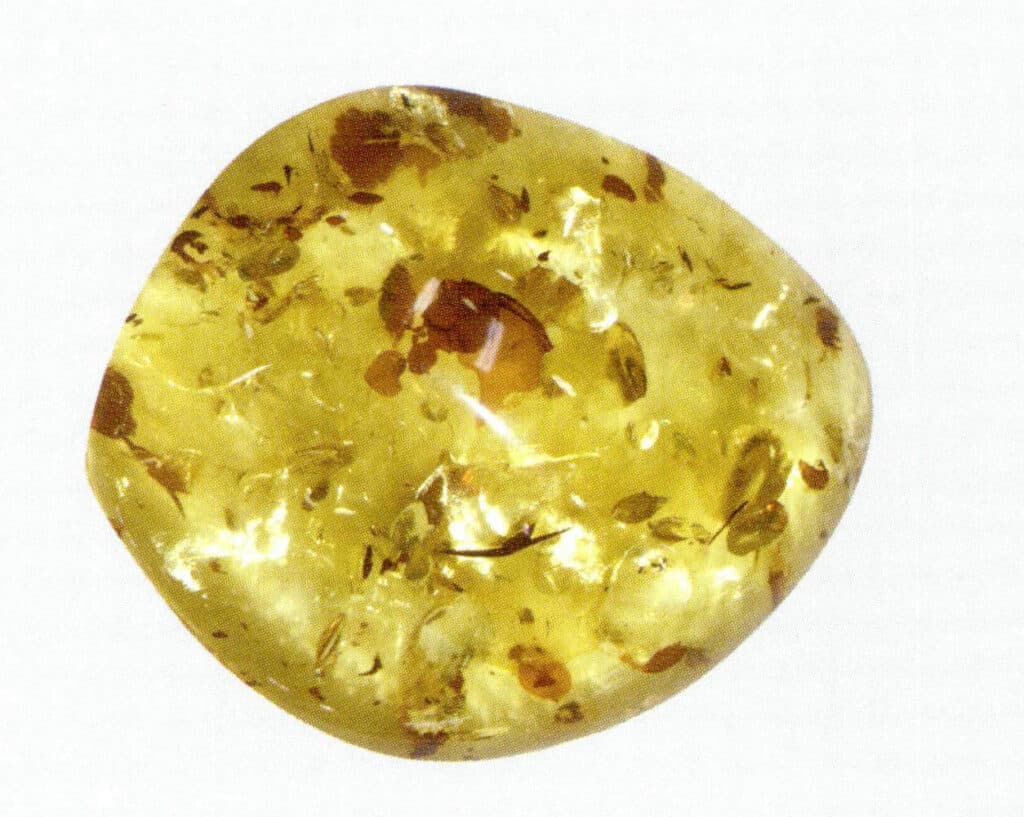 有机宝Figure 5-4-27 Flowering amber（1）石 228 副本3