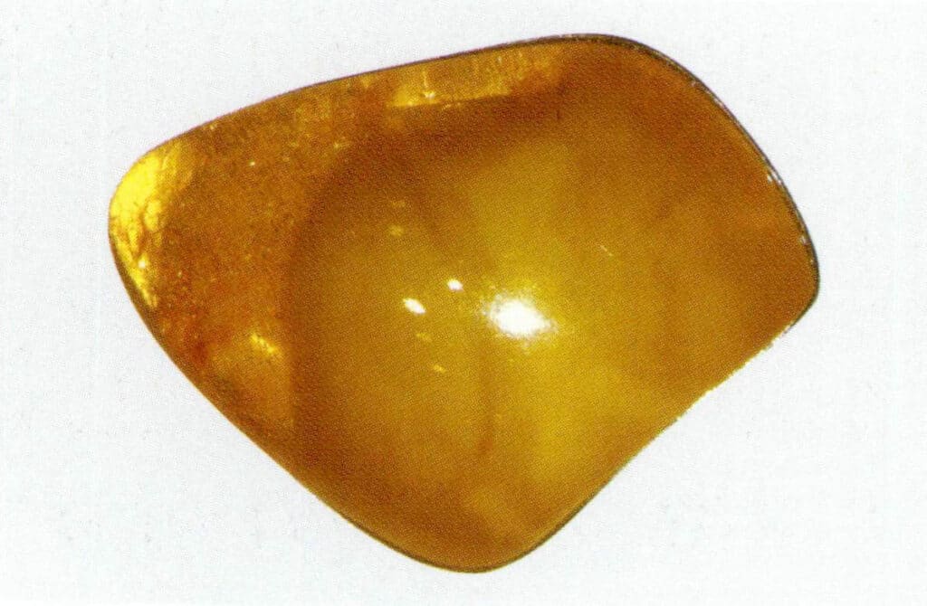 Figure 5-4-31 Baltic Amber(gold-stranded honey)