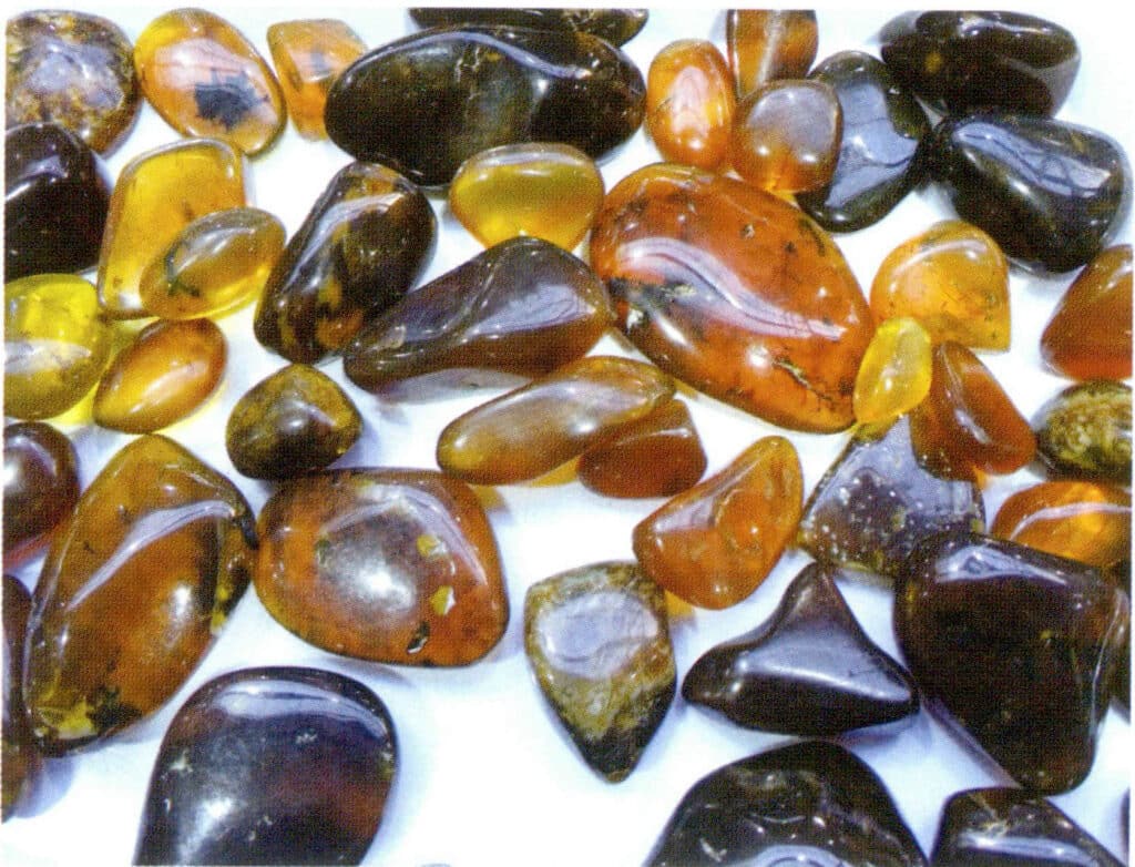 Figure 5-4-38 Burmese Amber Chips and Polished Pieces