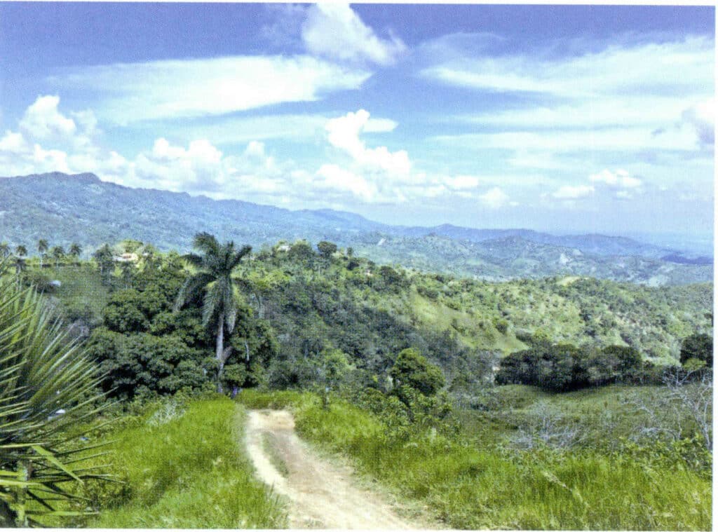 Figure 5-4-48 Mining Areas of Dominican Blue ambers ( I )