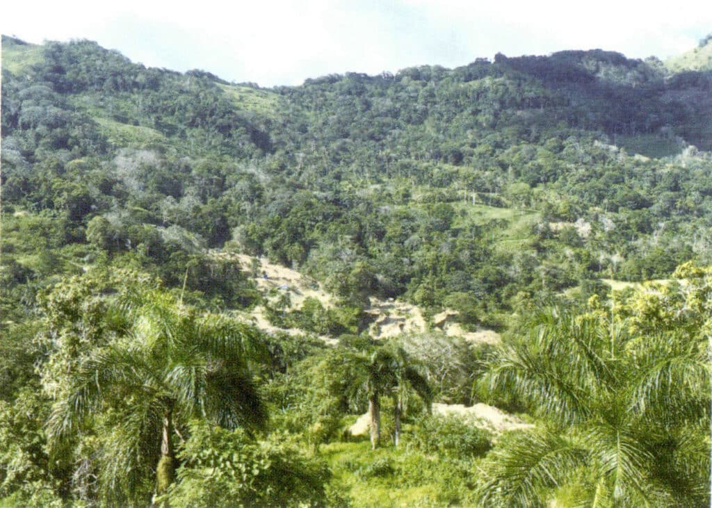 Figure 5-4-49 Mining areas of Dominican Blue amber (II) 