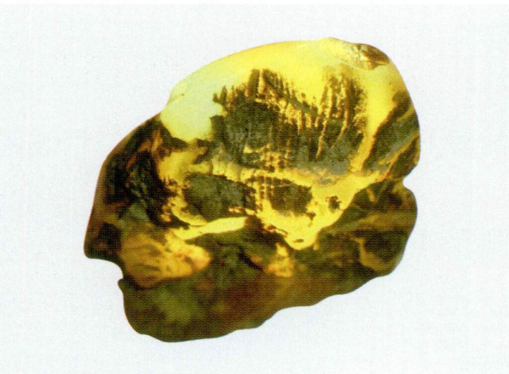Figure 5-4-54 Dominican Raw Blue Amber (I)