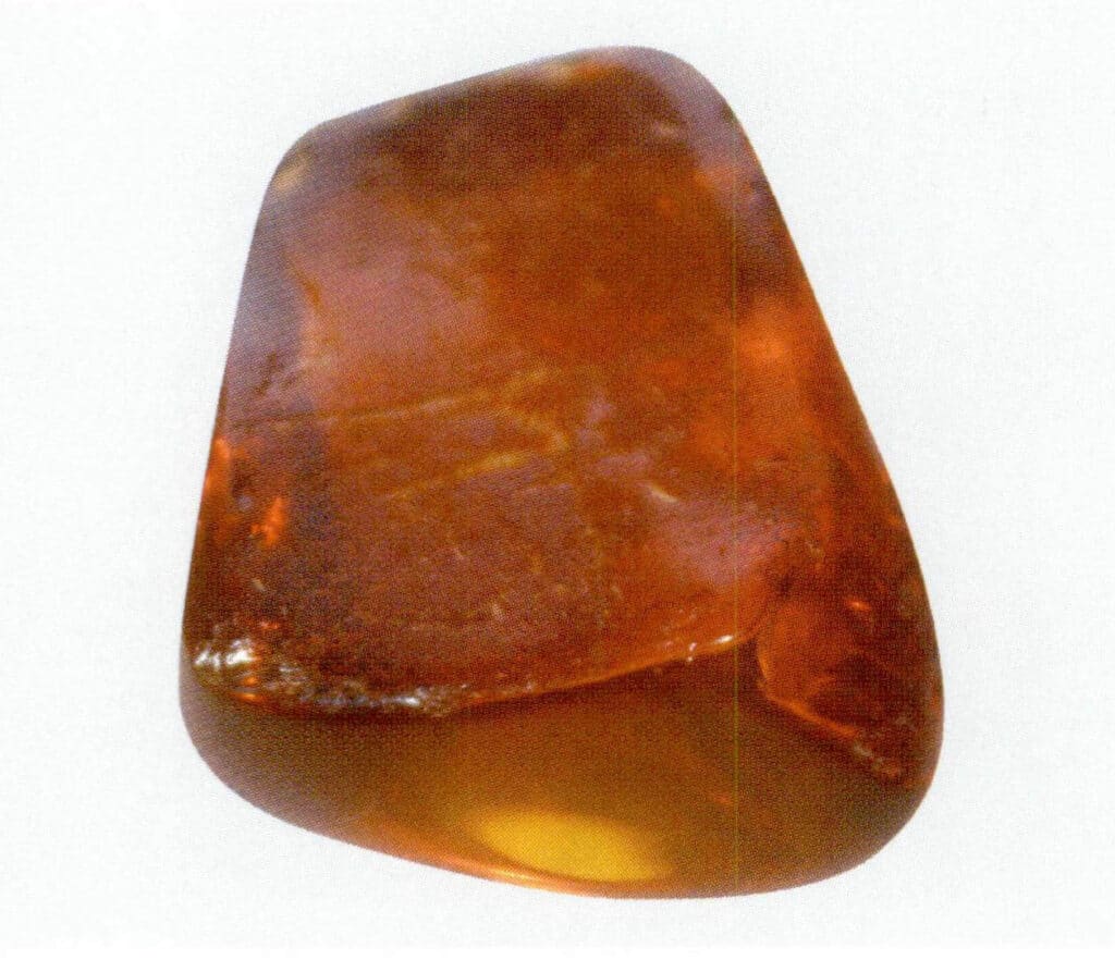 Figure 5-5-10 The outer skin of baked-color Amber(II)