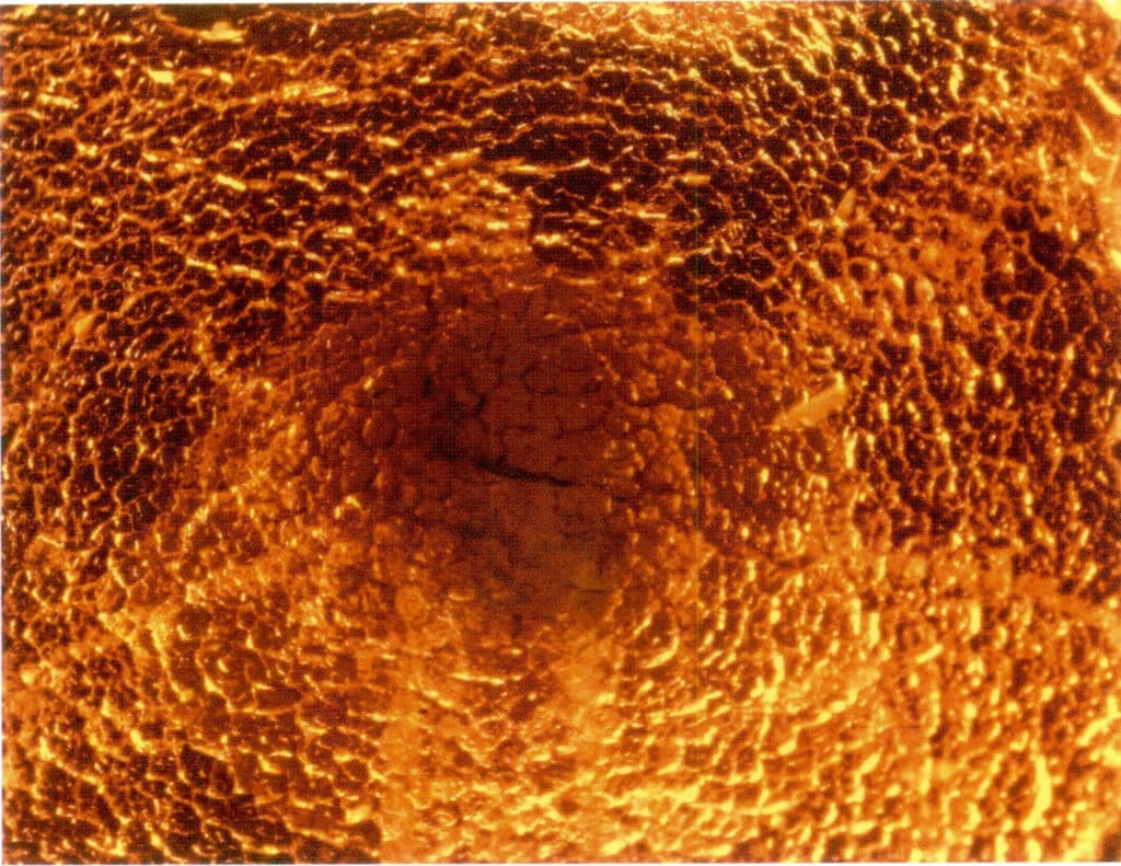 Figure 5-5-12 Baked-color Amber crust (IV)