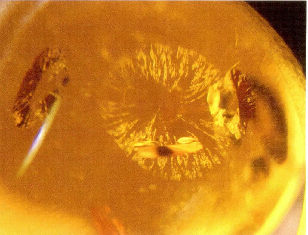 Figure5-5-16 "Sunshine" in Gold Flower Amber (20x) (III)
