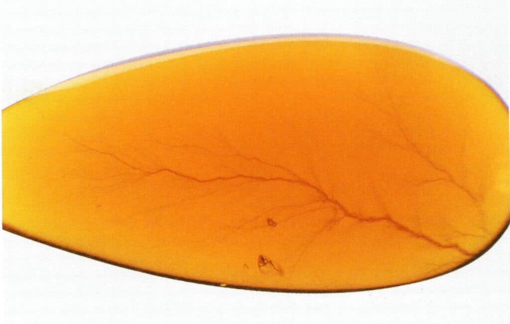 Figure 5-5-24 Irradiated amber 2
