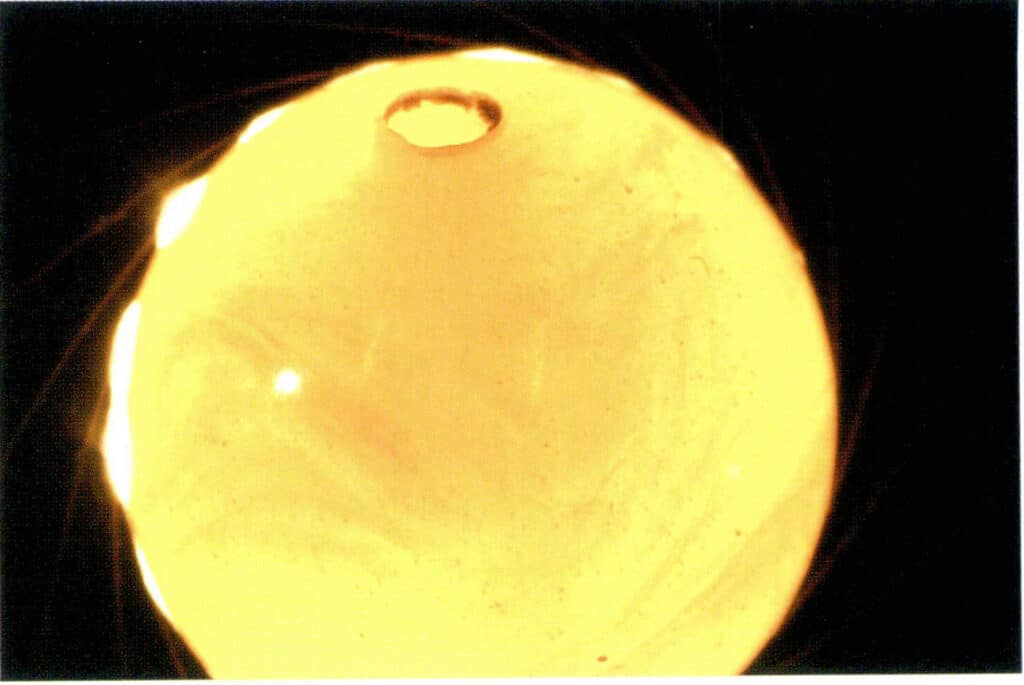 Figure 5-5-31 Flow pattern of pressed Amber (10×)（I）