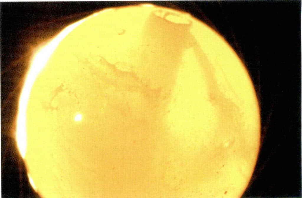 Figure 5-5-32 Streamer pattern of pressed Amber (10×)(II)