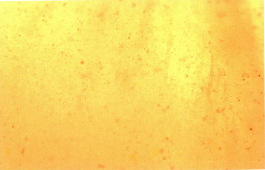 Figure 5-5-36 Microstructure of pressed Amber (30 x ) (IV) 