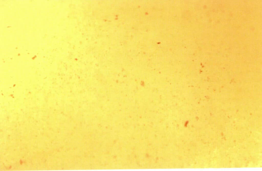 Figure 5-5-37 Microstructure of pressed Amber (30 x ) (v) 
