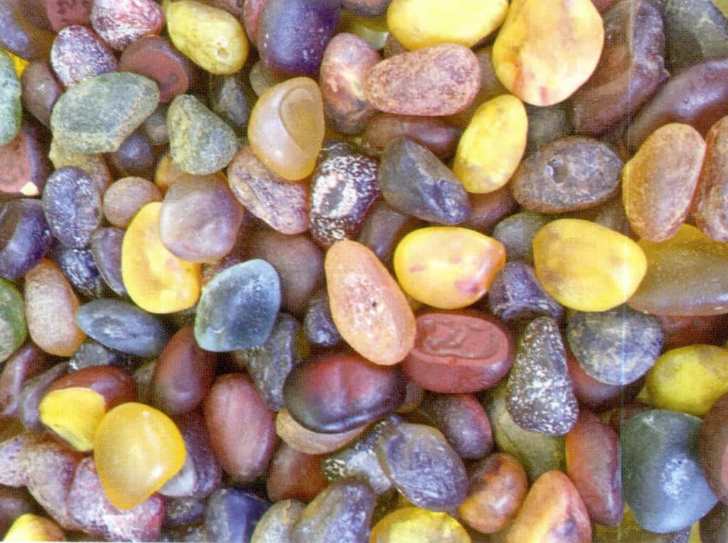 Figure 5-6-1 Malisan Imitation Amber Raw Stone（I）