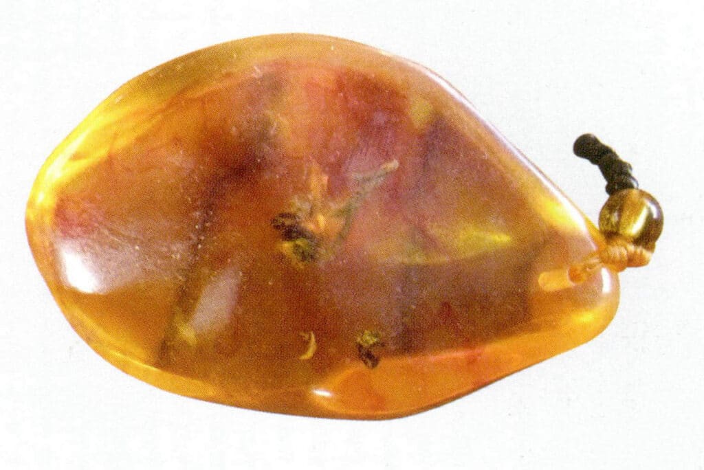 Figure 5-6-6 Plastic Products Imitating Worm amber (II) 